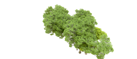 Green forest isolated on background. 3d rendering - illustration png