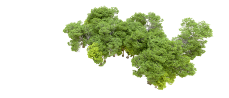 Green forest isolated on background. 3d rendering - illustration png