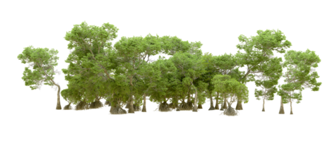 Green forest isolated on background. 3d rendering - illustration png