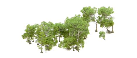 vert forêt isolé sur Contexte. 3d le rendu - illustration png