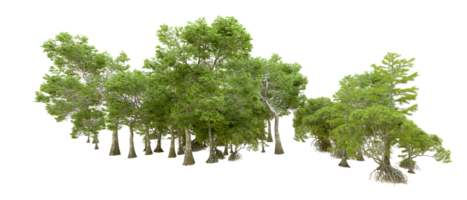 Green forest isolated on background. 3d rendering - illustration png