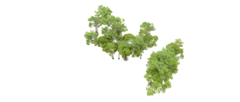 verde foresta isolato su sfondo. 3d interpretazione - illustrazione png