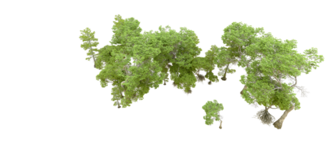 verde floresta isolado em fundo. 3d Renderização - ilustração png