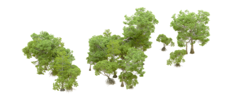 verde foresta isolato su sfondo. 3d interpretazione - illustrazione png