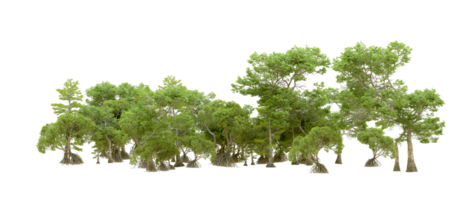 Green forest isolated on background. 3d rendering - illustration png