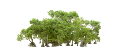 Green forest isolated on background. 3d rendering - illustration png