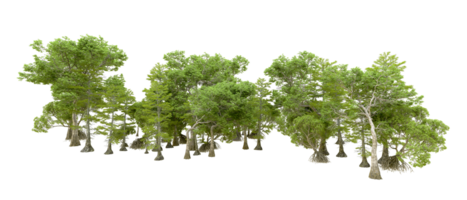 Green forest isolated on background. 3d rendering - illustration png