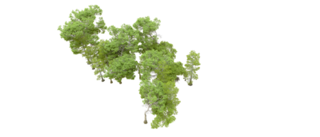 vert forêt isolé sur Contexte. 3d le rendu - illustration png