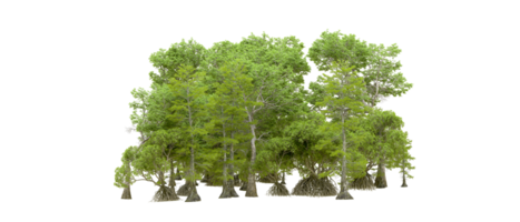 Green forest isolated on background. 3d rendering - illustration png