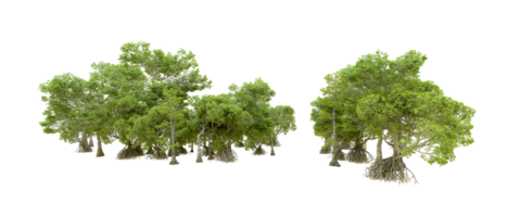 Green forest isolated on background. 3d rendering - illustration png