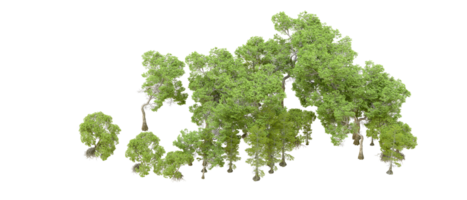 Green forest isolated on background. 3d rendering - illustration png