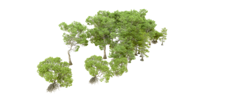 Green forest isolated on background. 3d rendering - illustration png