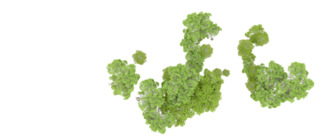 grön skog isolerat på bakgrund. 3d tolkning - illustration png