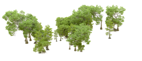 verde bosque aislado en antecedentes. 3d representación - ilustración png