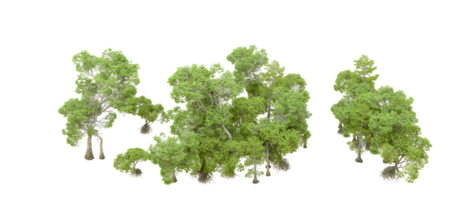 Green forest isolated on background. 3d rendering - illustration png