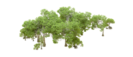 Green forest isolated on background. 3d rendering - illustration png