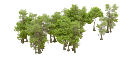 Green forest isolated on background. 3d rendering - illustration png