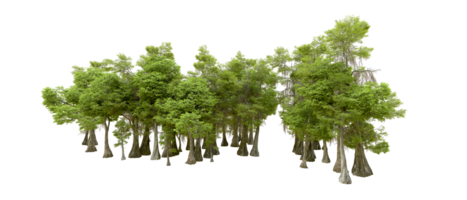 Green forest isolated on background. 3d rendering - illustration png