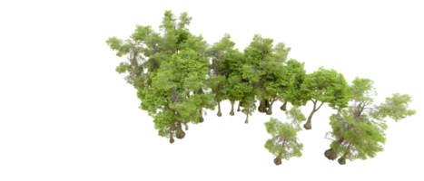 verde floresta isolado em fundo. 3d Renderização - ilustração png