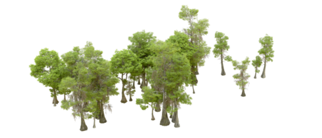 Green forest isolated on background. 3d rendering - illustration png