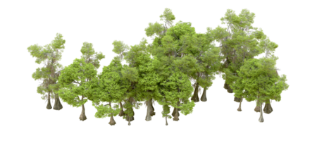 Green forest isolated on background. 3d rendering - illustration png