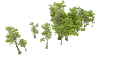 Green forest isolated on background. 3d rendering - illustration png