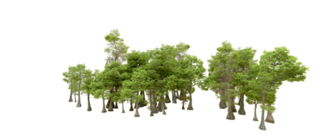 Green forest isolated on background. 3d rendering - illustration png