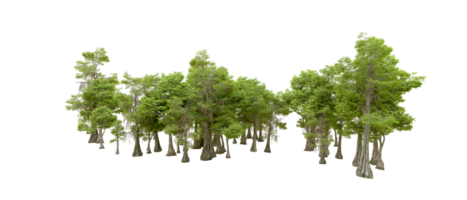 Green forest isolated on background. 3d rendering - illustration png