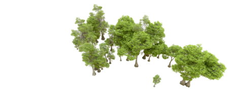 Green forest isolated on background. 3d rendering - illustration png