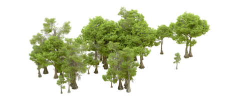 verde floresta isolado em fundo. 3d Renderização - ilustração png