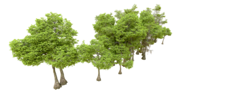 verde floresta isolado em fundo. 3d Renderização - ilustração png