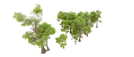 verde floresta isolado em fundo. 3d Renderização - ilustração png
