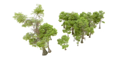 Green forest isolated on background. 3d rendering - illustration png