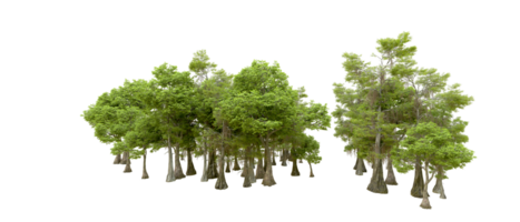 Green forest isolated on background. 3d rendering - illustration png