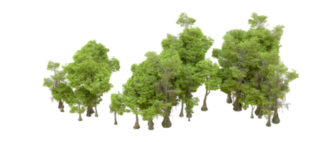 Green forest isolated on background. 3d rendering - illustration png