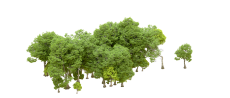 verde foresta isolato su sfondo. 3d interpretazione - illustrazione png