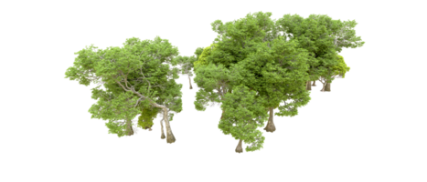 Green forest isolated on background. 3d rendering - illustration png