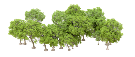 Green forest isolated on background. 3d rendering - illustration png