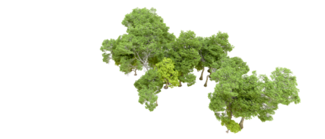 verde foresta isolato su sfondo. 3d interpretazione - illustrazione png