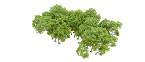 verde foresta isolato su sfondo. 3d interpretazione - illustrazione png