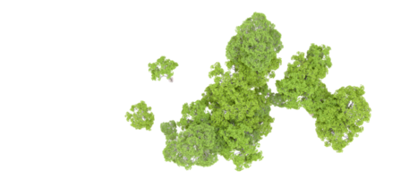 Green forest isolated on background. 3d rendering - illustration png