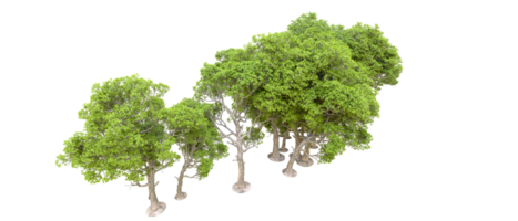 Green forest isolated on background. 3d rendering - illustration png