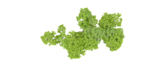 vert forêt isolé sur Contexte. 3d le rendu - illustration png