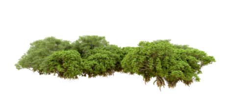 Green forest isolated on background. 3d rendering - illustration png