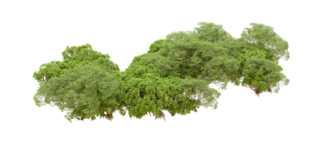 vert forêt isolé sur Contexte. 3d le rendu - illustration png