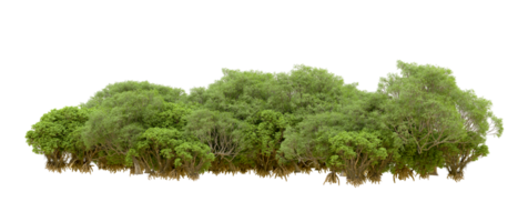 Grün Wald isoliert auf Hintergrund. 3d Rendern - - Illustration png