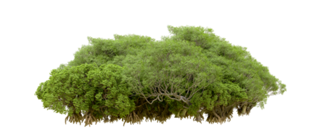 Green forest isolated on background. 3d rendering - illustration png