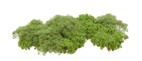 verde foresta isolato su sfondo. 3d interpretazione - illustrazione png