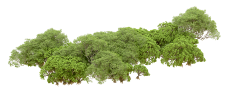 Green forest isolated on background. 3d rendering - illustration png