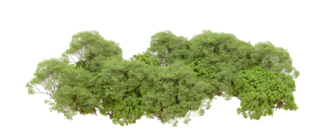 Green forest isolated on background. 3d rendering - illustration png